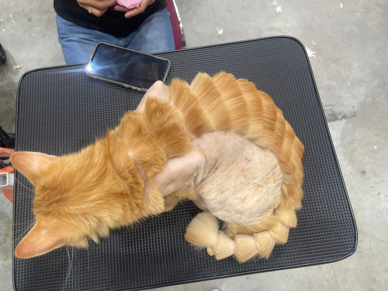 Dragon Cut
